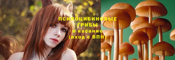 мет Михайловск