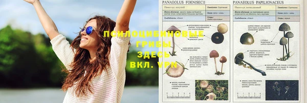 молекула духа Снежинск