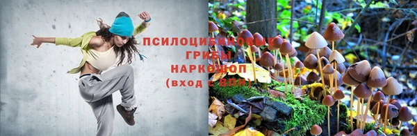 mdma Михайловка