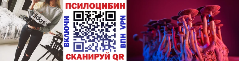 Псилоцибиновые грибы ЛСД  как найти   Черноголовка 